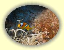 IMG_2007_05_27 18_09_39 * 2272 x 1704 * (557KB)